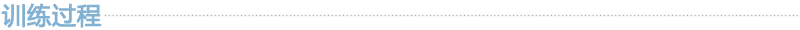 训练过程