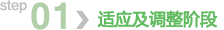 第一步：适应及调整阶段