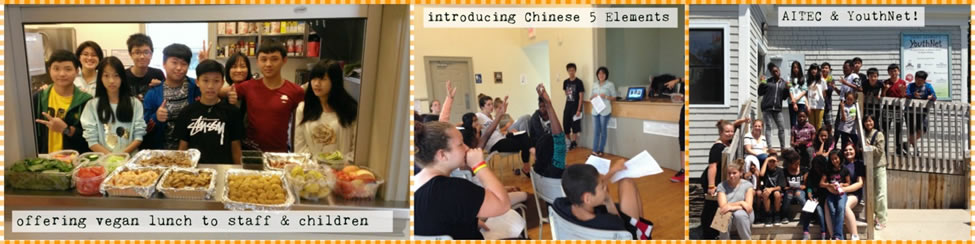 offering vegan lunch to staff & children