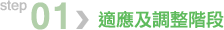 第一步：適應及調整階段